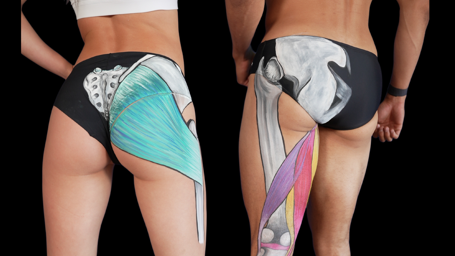 Male and female glute anatomy illustrations