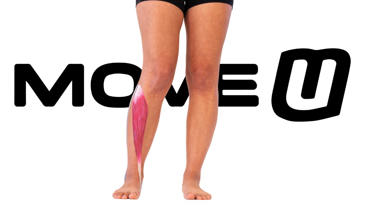Pink-highlighted calf muscle diagram on leg with Move U logo for knee valgus fix