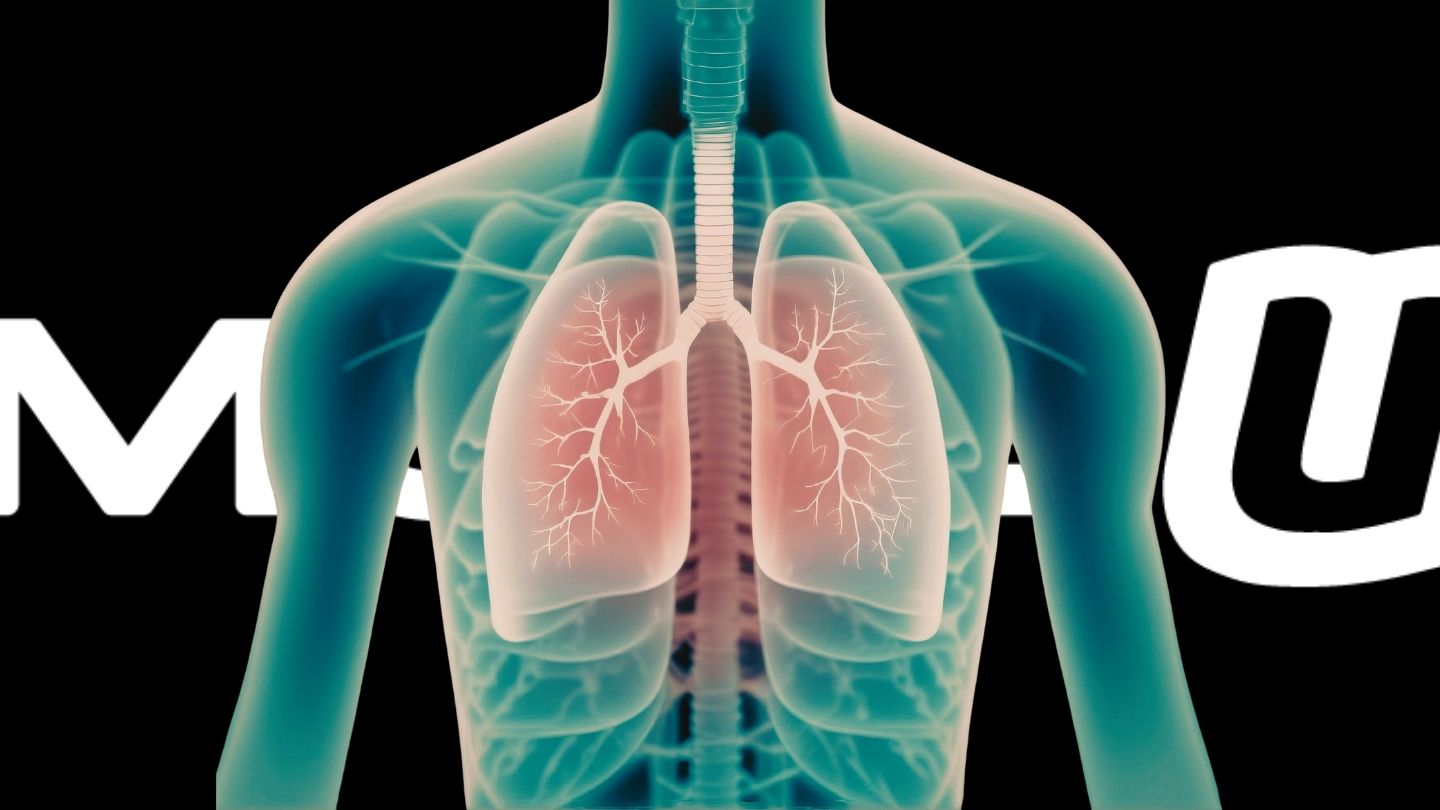 graphic image of lungs and rib cage showing breathing