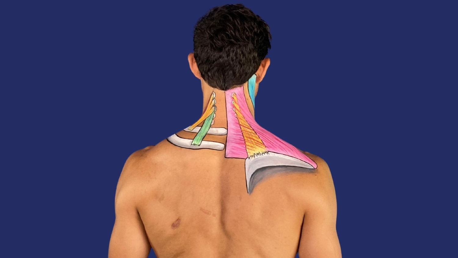 Male model with body paint showing neck muscle anatomy